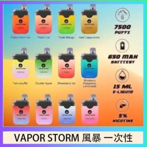 Vapor Storm風暴電子煙7500口(5%)一次性